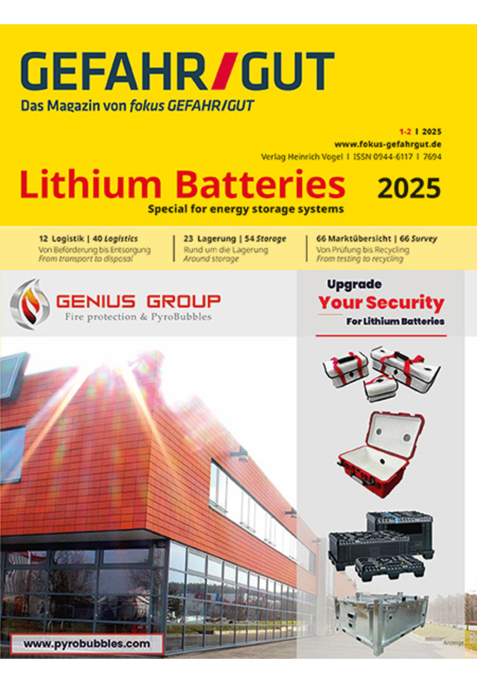 Lithium Batteries Special 2025