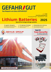 Lithium Batteries 2025